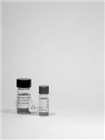 金標(biāo)小鼠抗FITC單克隆抗體(Mouse Monoclonal Anti-FITC Gold Conjugates)